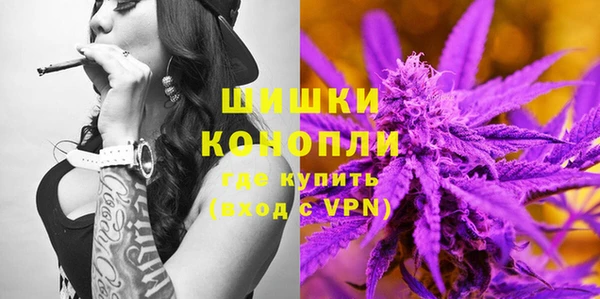 крисы Белокуриха