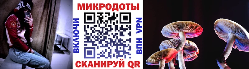 Галлюциногенные грибы Cubensis  купить наркоту  МЕГА ссылка  Мезень 